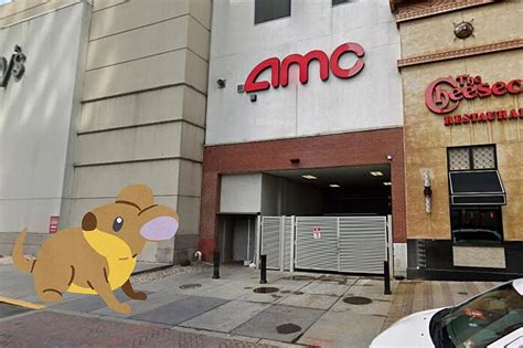 amc twitter|Oh rats! Methuen AMC movie theater closed after rodents found